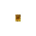 Shell Hydraulic S1 M32 – 20 Litre – Harlow Lubricants